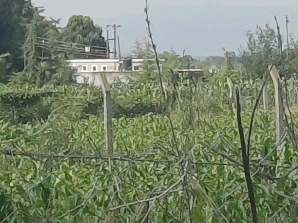 Prime Residential Oasis: 5 Bedroom All Ensuite Bungalow on 1.01 Acres, Ngata, Nakuru